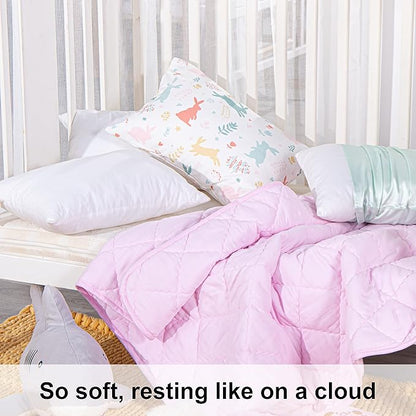 NTBAY 2 Pack Cotton Down Alternative 13x18 Pillows, Machine Washable - Soft and Breathable Travel Small Pillows for Sleeping, Ideal for Daycare, Crib, Cot