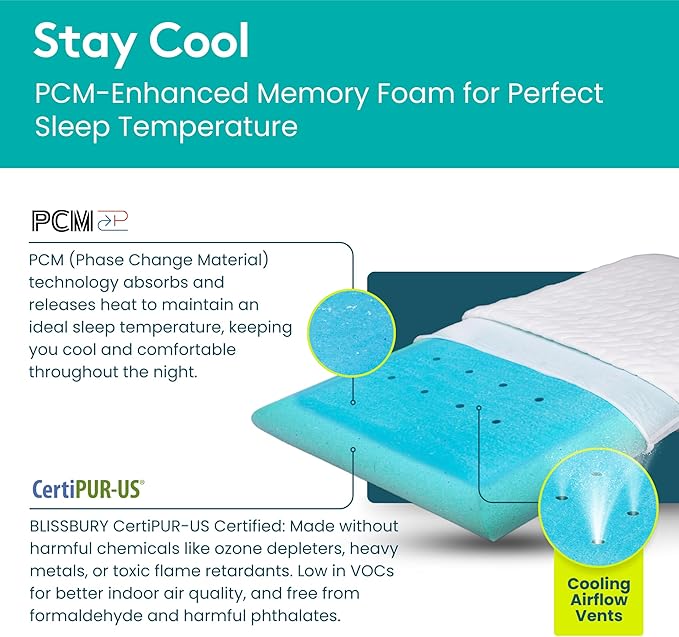 BLISSBURY Cooling Memory Foam Pillow, 2.6 Inch Thin, for Stomach & Back Sleeper, Queen Size, Removable Cool-Tech Cover, CertiPUR-US Certified