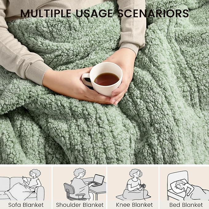Heated Blanket Electric Blanket Queen - Fast Heating Blanket Throw Dual Control Double Sided Sherpa with 6 Heating Levels & 1-10 Hours Auto Off, Mashine Washable, 84 x 90 Inches, Sage