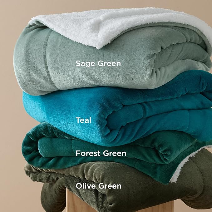Bedsure GentleSoft Sherpa Fleece Blankets Queen Size for Bed - Thick and Warm Throw for Women and Men, Soft Fuzzy Plush Queen Blanket for Winter, Teal, 90x90 Inches