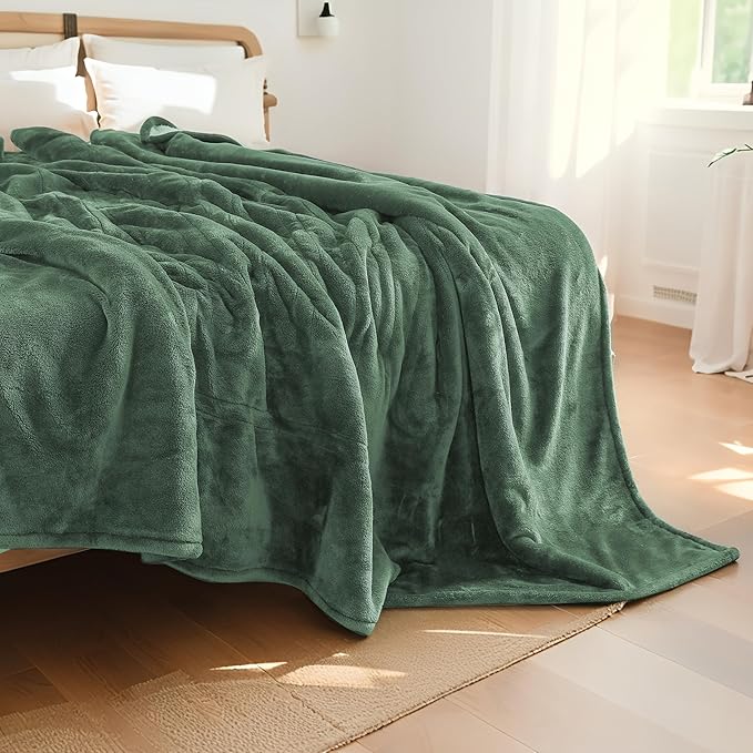 Electric Heated Blanket Queen Size 84"x90", Dual Control Fast Heating Cozy Heated Blanket for Bed, 10 Hours Auto Off & 4 Heating Levels, Warm Gift for Grandma-Sage Green