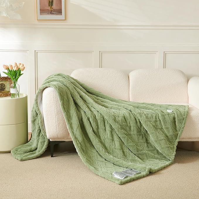 Heated Blanket Electric Blanket, 50"×60" Heating Blanket, 5 Heating Level, 1-12 Hour Auto Off, Intelligent Overheat Protection (Sage Green)