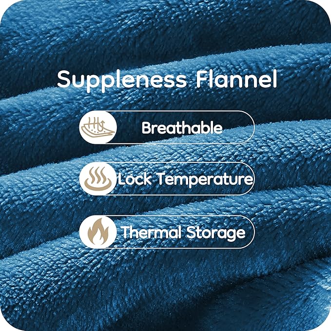 Electric Heated Blanket Queen Size 84×90, Comfortable & Luxurious Flannel, 4 Heating Levels & 10 H Auto Shut Off, Lake Blue