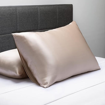 Fishers Finery 25mm 100% Pure Mulberry Silk Pillowcase 2 Pack (Taupe Queen 2 Pack)