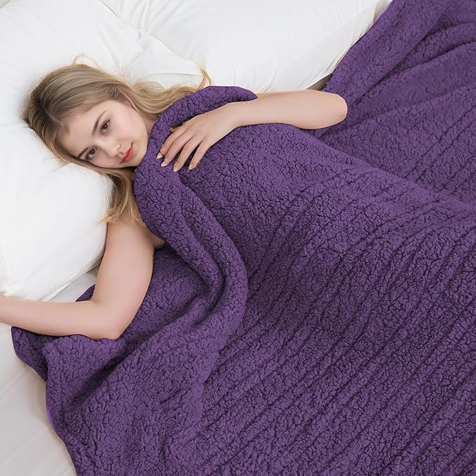 Electric Heated Blanket Twin Size 62"×84" with 6 Heating Levels & 1-10Hs Auto Off, Heating Blanket Double Sided Plush Sherpa, Fast Heating, Machine Washable for Christmas Gift - Dark Purple