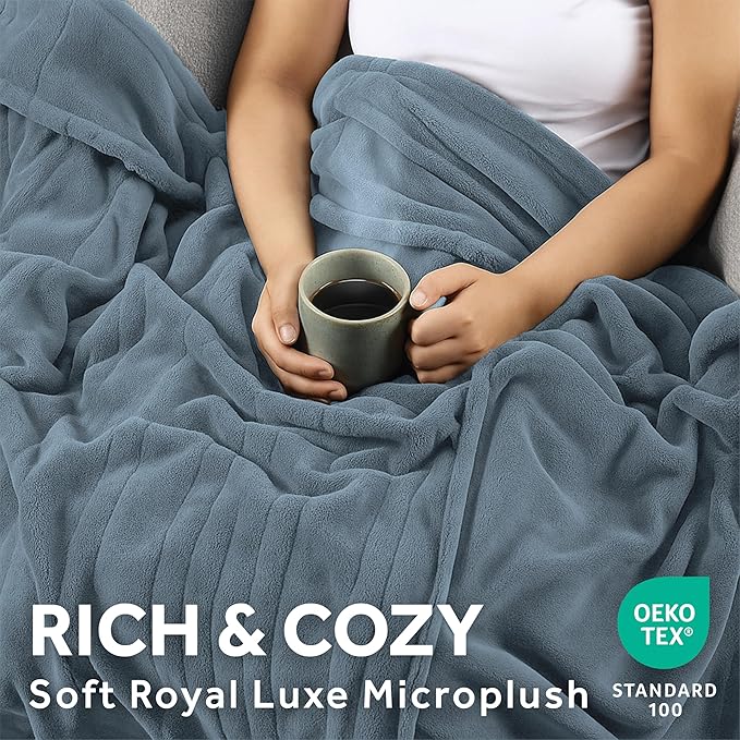 Sunbeam Electric Royal Luxe Microplush Heated Blanket, 12 Heat Settings, 12-Hour Auto Shut-Off, Fast Heating, Warm and Cozy, Cadet Blue Color, Queen (90" x 84")