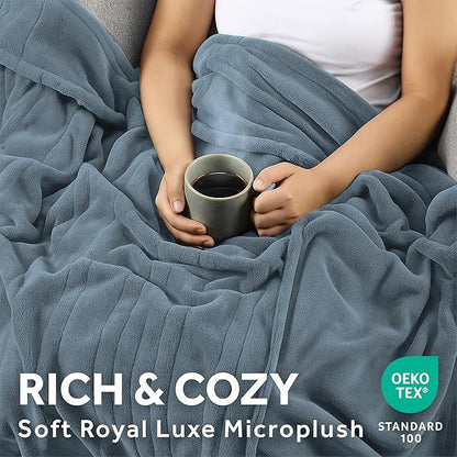Sunbeam Electric Royal Luxe Microplush Heated Blanket, 12 Heat Settings, 12-Hour Auto Shut-Off, Fast Heating, Warm and Cozy, Cadet Blue Color, Queen (90" x 84")