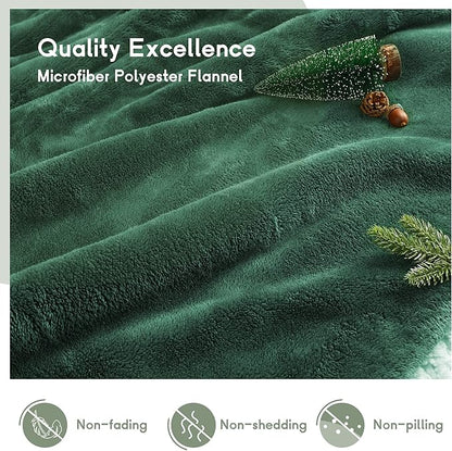 Heated Electric Blanket Queen Size 84''x90'', Dual Controller Soft Flannel with 5 Heat Settings 10 Hour Auto Off Large Blanket for Bed- Grass Green