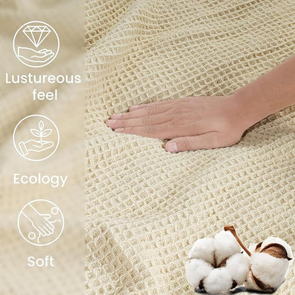 Tex Trend 100% Cotton Blanket – Soft and Breathable Twin XL Ivory Waffle Blanket – for Christmas & All Season Comfort – Suitable for Bed Layering, Sofa, Couch - Ivory (60”x90”)
