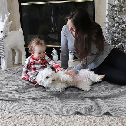 Tex Trend Waffle Blanket – 100% Cotton Blankets Queen Size – Breathable and Soft for Christmas – Suitable for Bed Layering, Sofa - Light Grey (90”x90”)