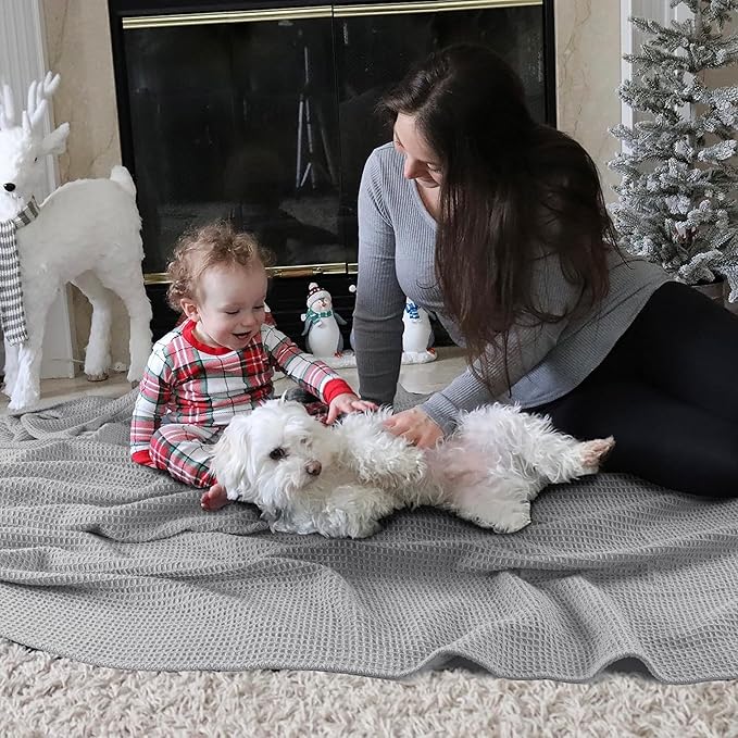 Tex Trend 100% Cotton Blanket – Soft and Breathable Twin XL Waffle Blanket – for Christmas & All Season Comfort – Suitable for Bed Layering, Sofa, Couch - Light Grey (60”x90”)