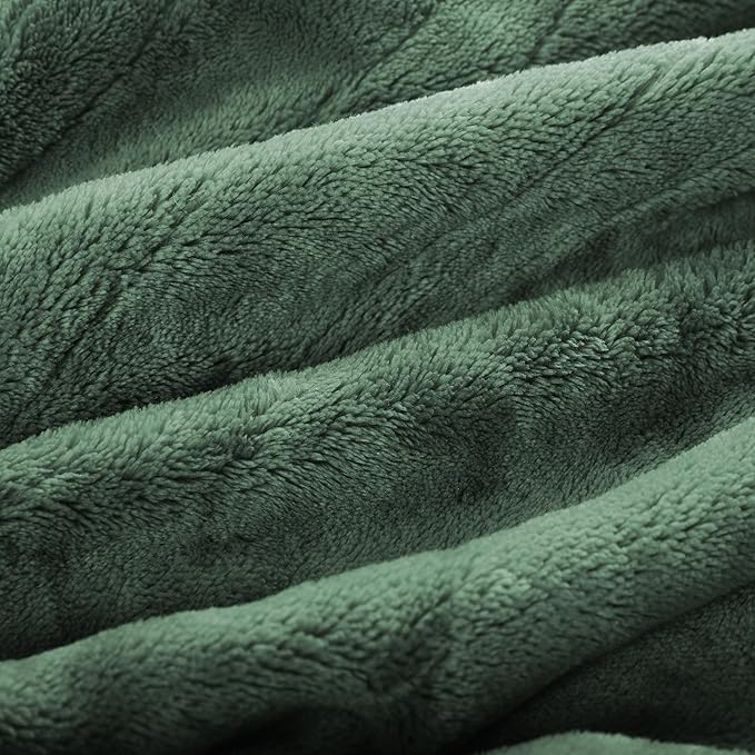 Electric Heated Blanket Queen Size 84"x90", Dual Control Fast Heating Cozy Heated Blanket for Bed, 10 Hours Auto Off & 4 Heating Levels, Warm Gift for Grandma-Sage Green