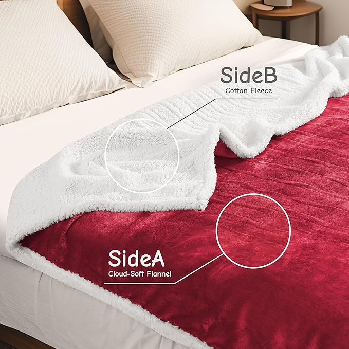 Electric Heated Blanket Queen Size 84"x90", Soft Flannel with Dual Controllers & Overheat Protection, 6 Adjustable Heat Settings & 10-Hour Auto-Off Timer, Fast Heating for Winter Comfort, Red