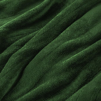 Electric Heated Blanket Twin Size 62”x84”,Soft Warmth Cozy with 5 Heating Settings 10 Hours Auto-Off, One Touch Operation, Machine Washable, Green