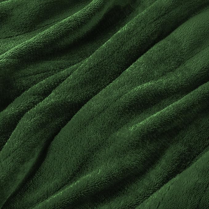 Electric Heated Blanket Full Size 72”x84”,Cozy Soft Warmth with 5 Heating Settings 10 Hours Auto-Off, Long Cord Energy-Saving, for Bed, Fast Heating Machine Washable, Green