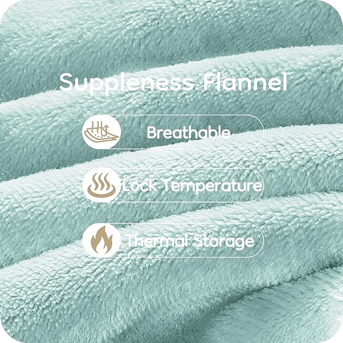 Electric Heated Blanket 84" x 90" Queen Size with Dual Control Warm Flannel Heated Blanket with 4 Heating Levels & 10 Hours Auto-Off, Fast Heating, Machine Washable, for Bedding - Light Green